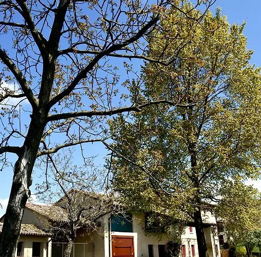 Apartament Ca Roer San Zenone
